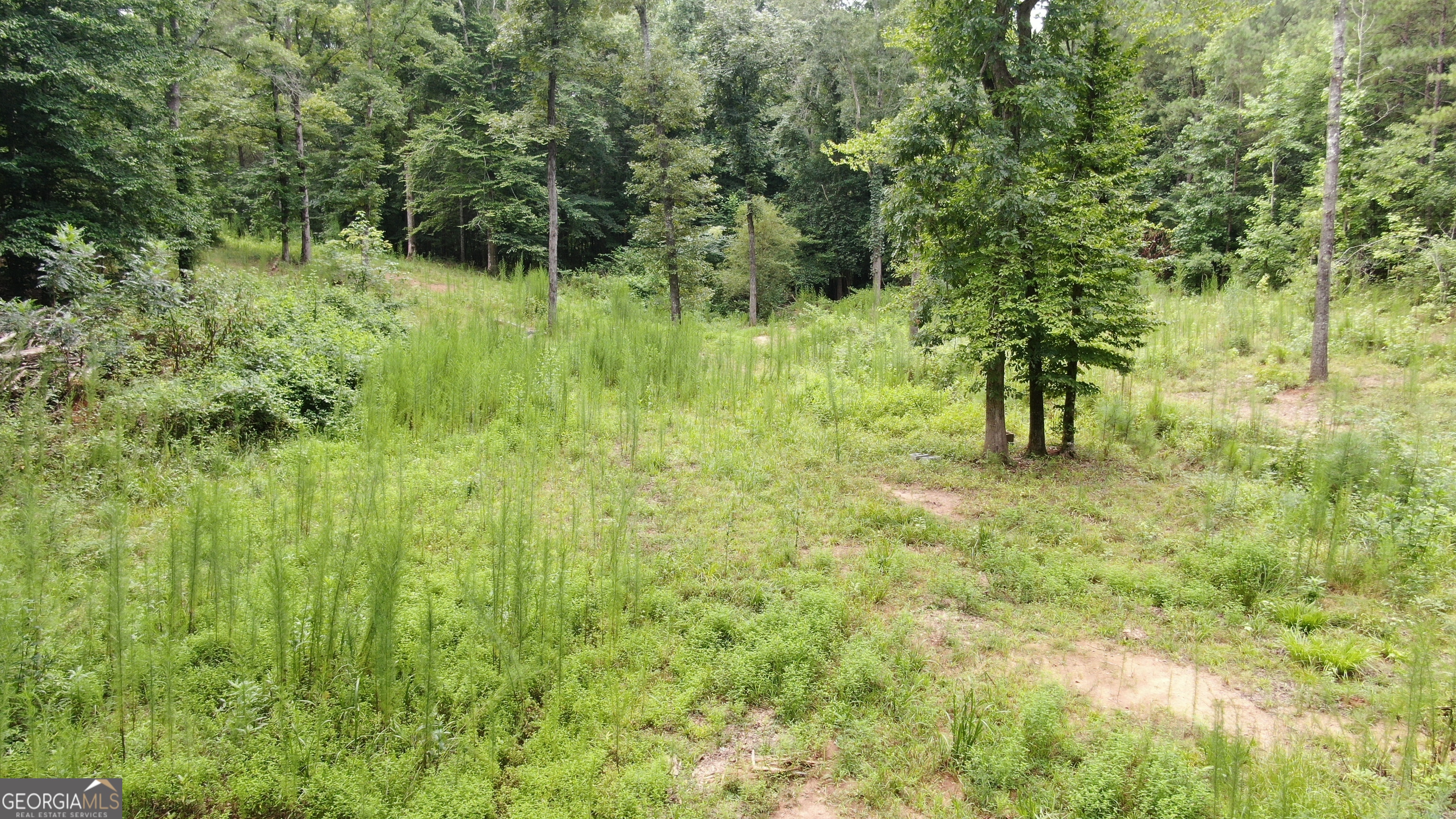 813 Jackson Lake Road Property Photo 8