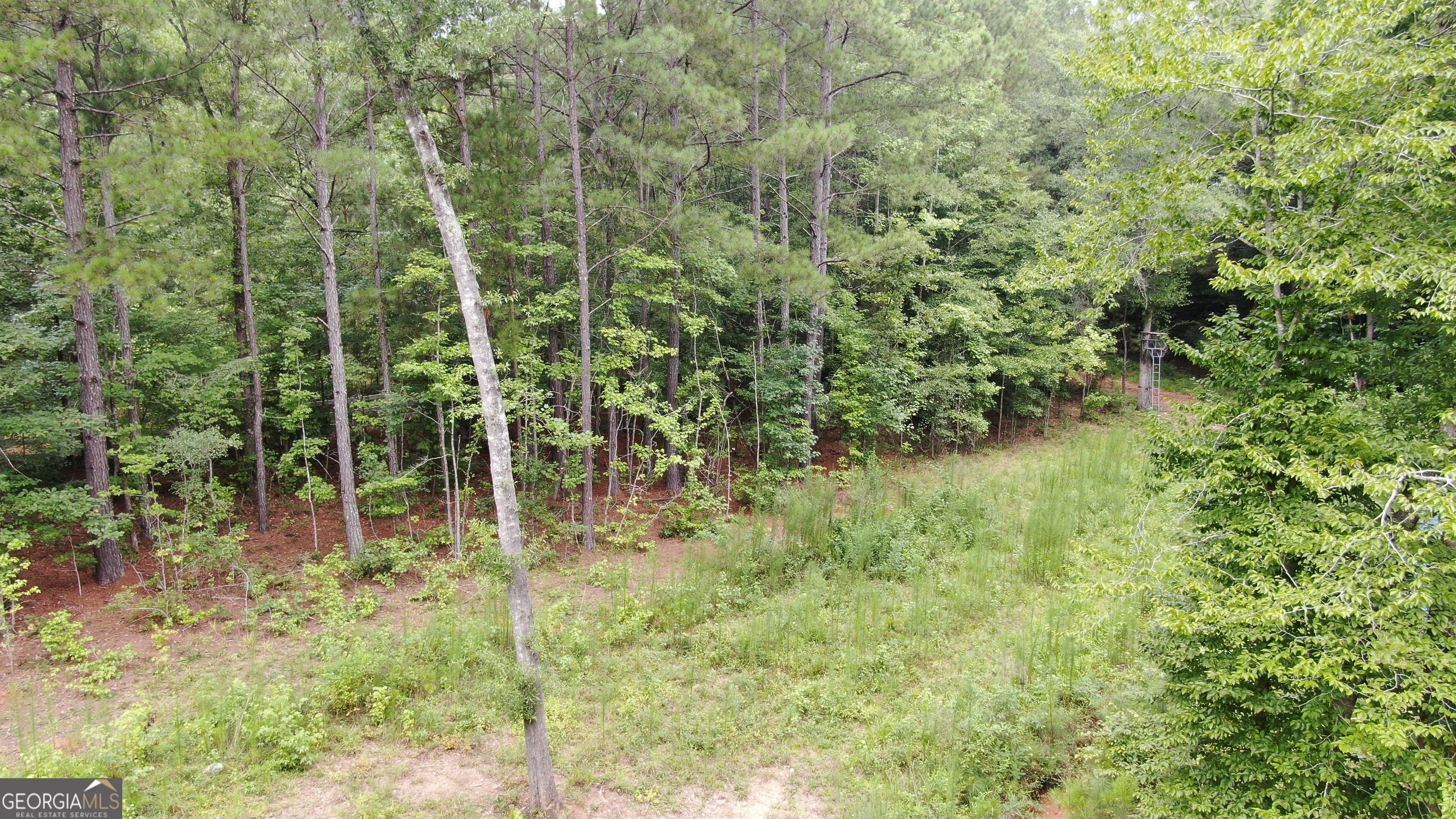 813 Jackson Lake Road Property Photo 9