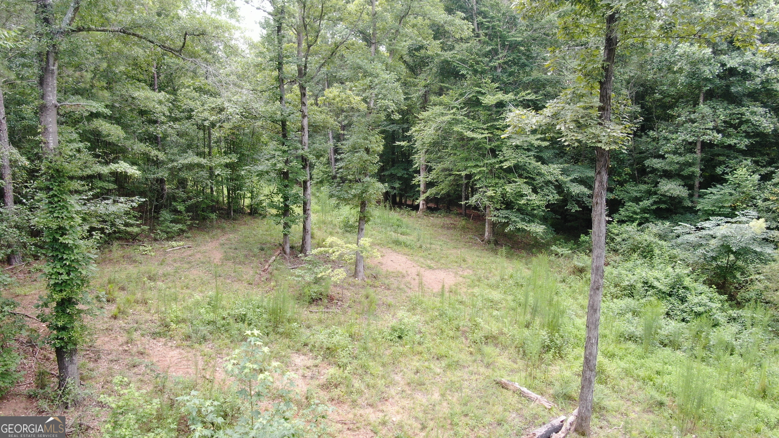 813 Jackson Lake Road Property Photo 10
