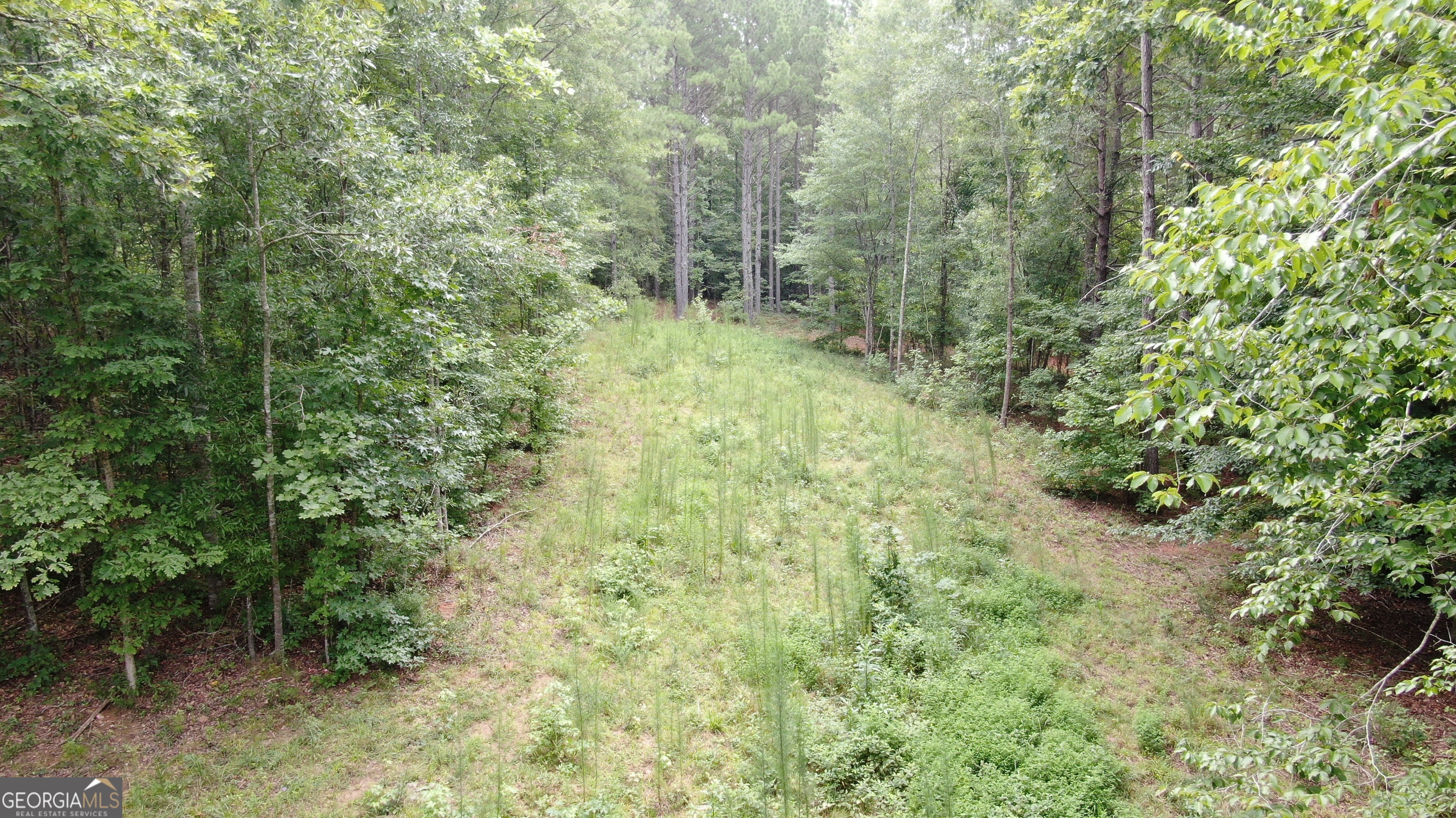 813 Jackson Lake Road Property Photo 11