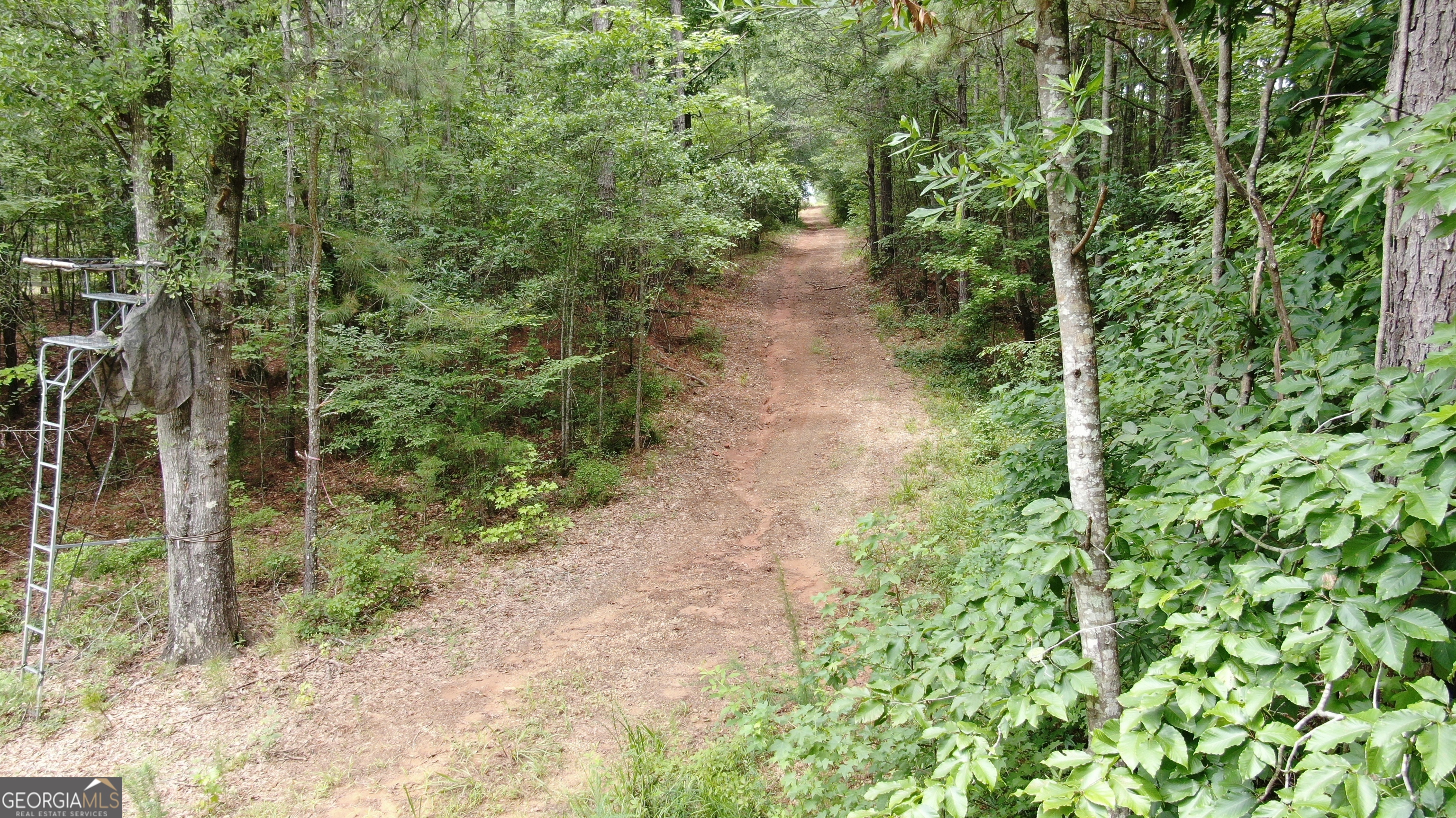 813 Jackson Lake Road Property Photo 14
