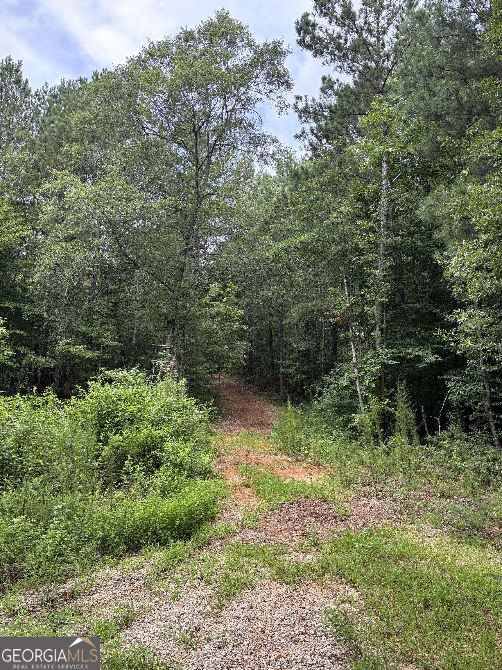 813 Jackson Lake Road Property Photo 16