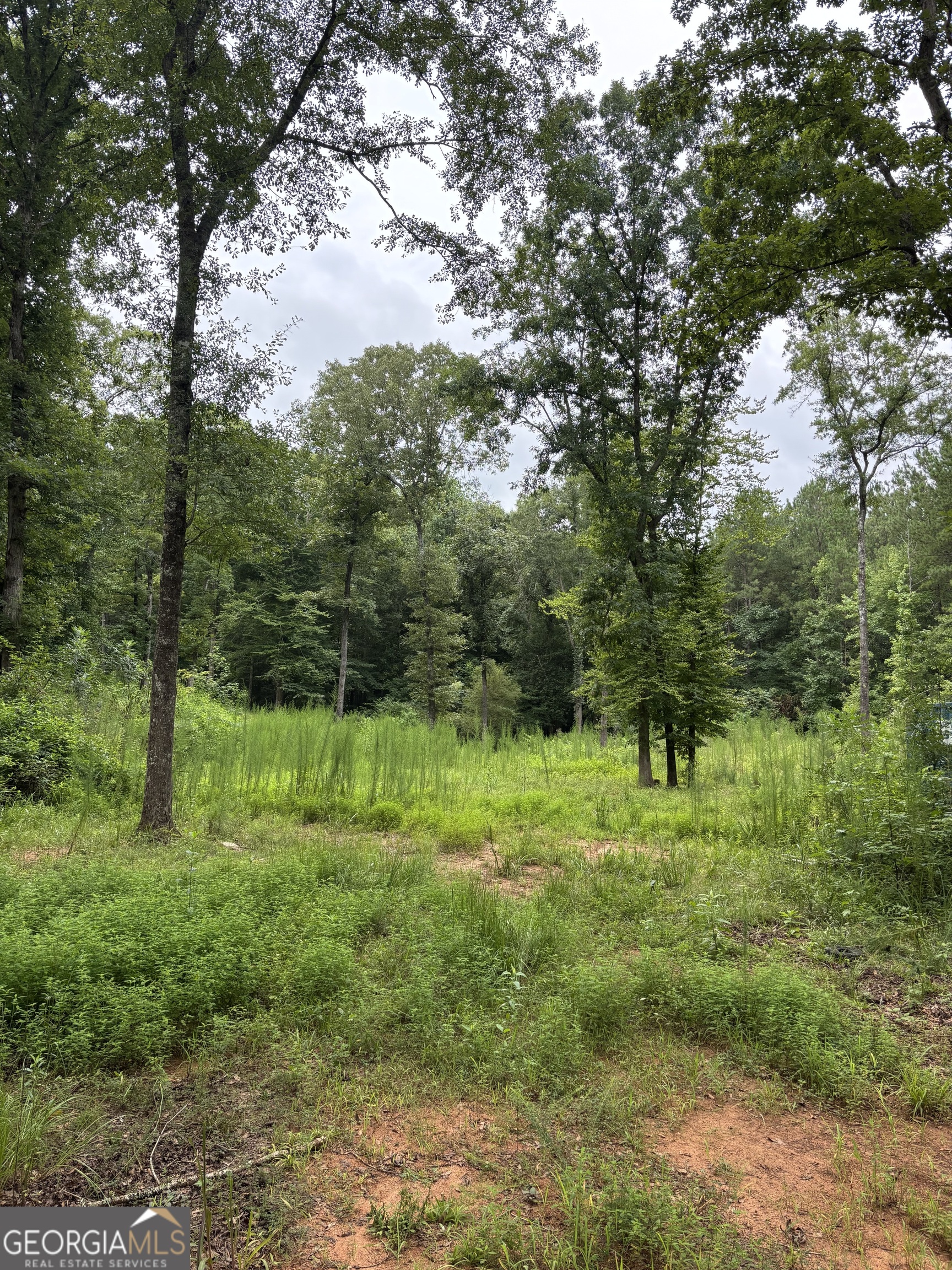 813 Jackson Lake Road Property Photo 17