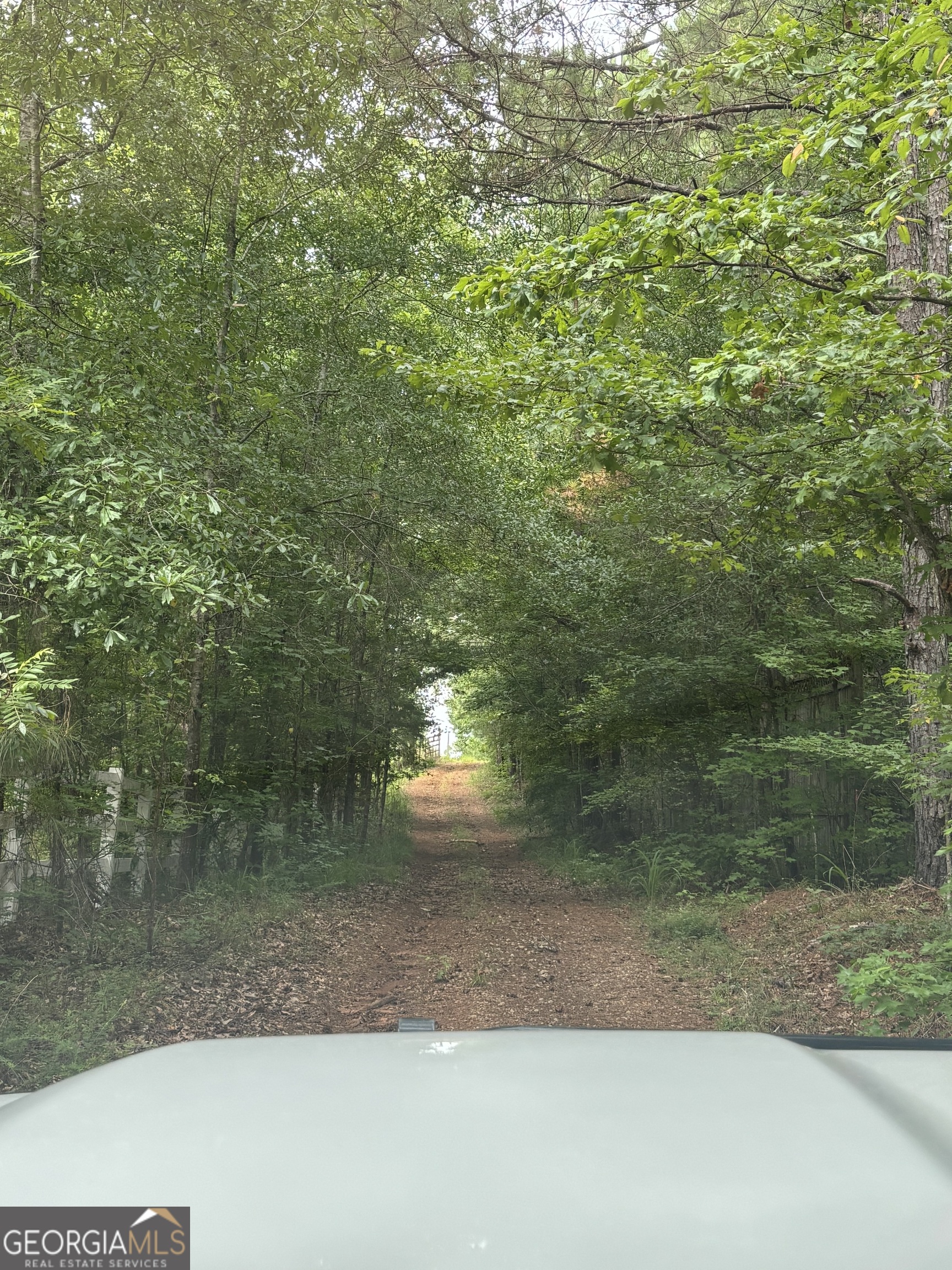 813 Jackson Lake Road Property Photo 19