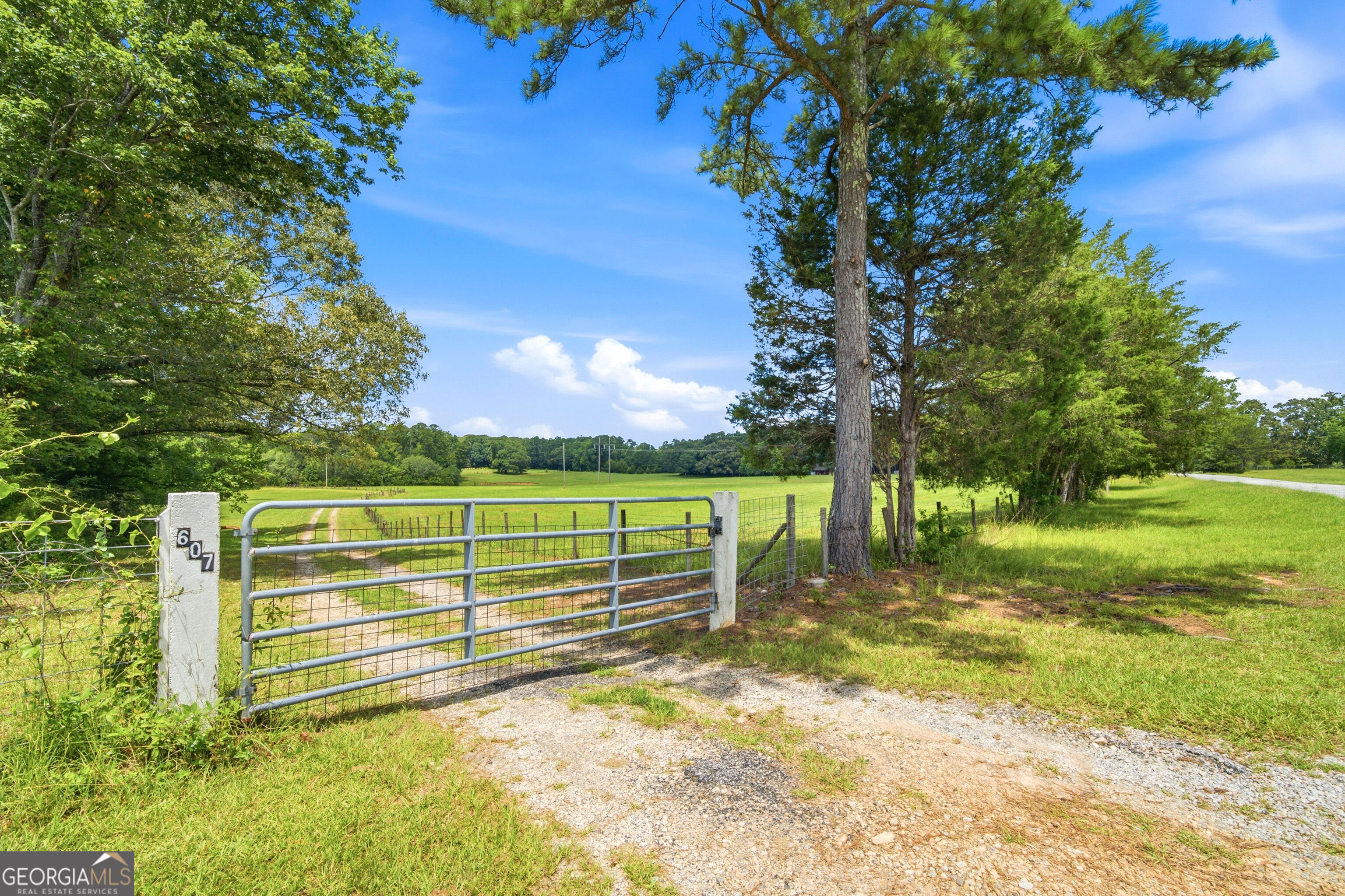607 Grant Road Property Photo 4