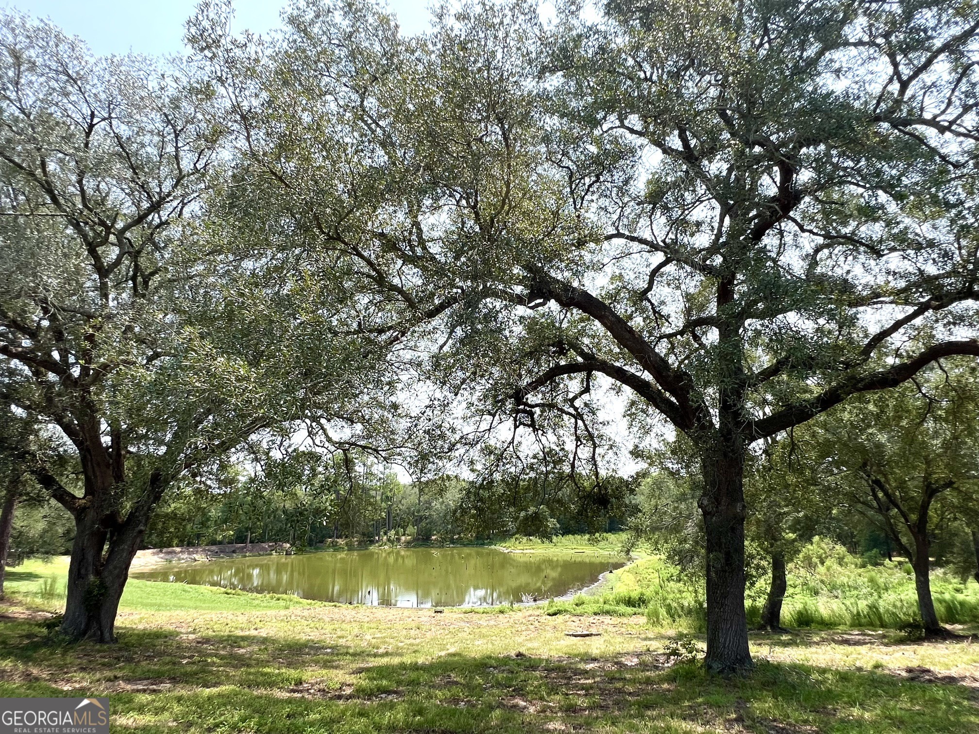45 Nease Road Property Photo 4