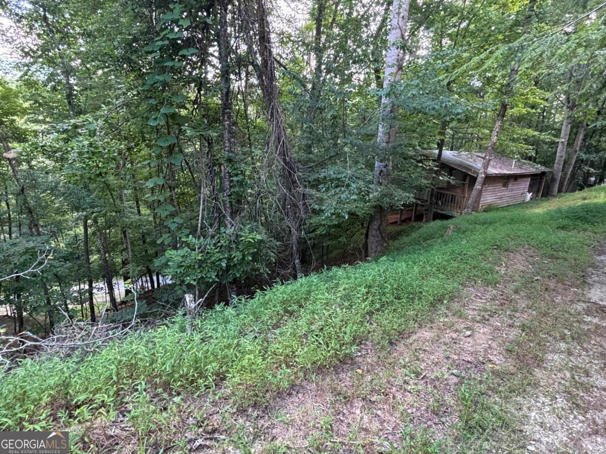 1163 Tipton Springs Road Property Photo 1
