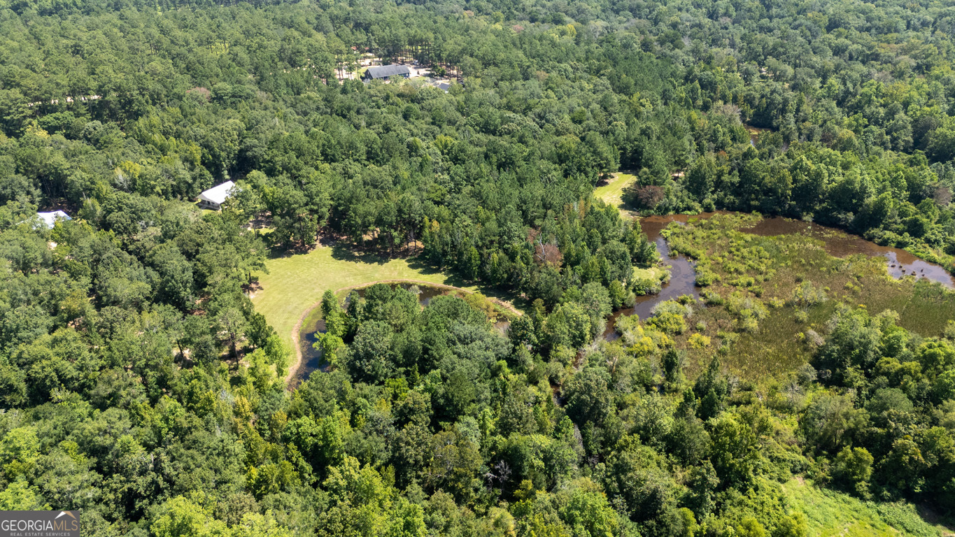 2174 Ga Highway 111 N Property Photo 31