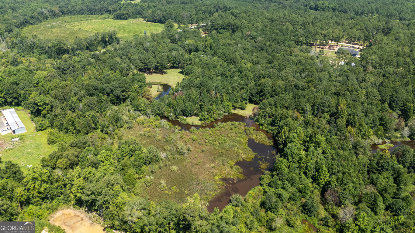 2174 Ga Highway 111 N Property Photo 35