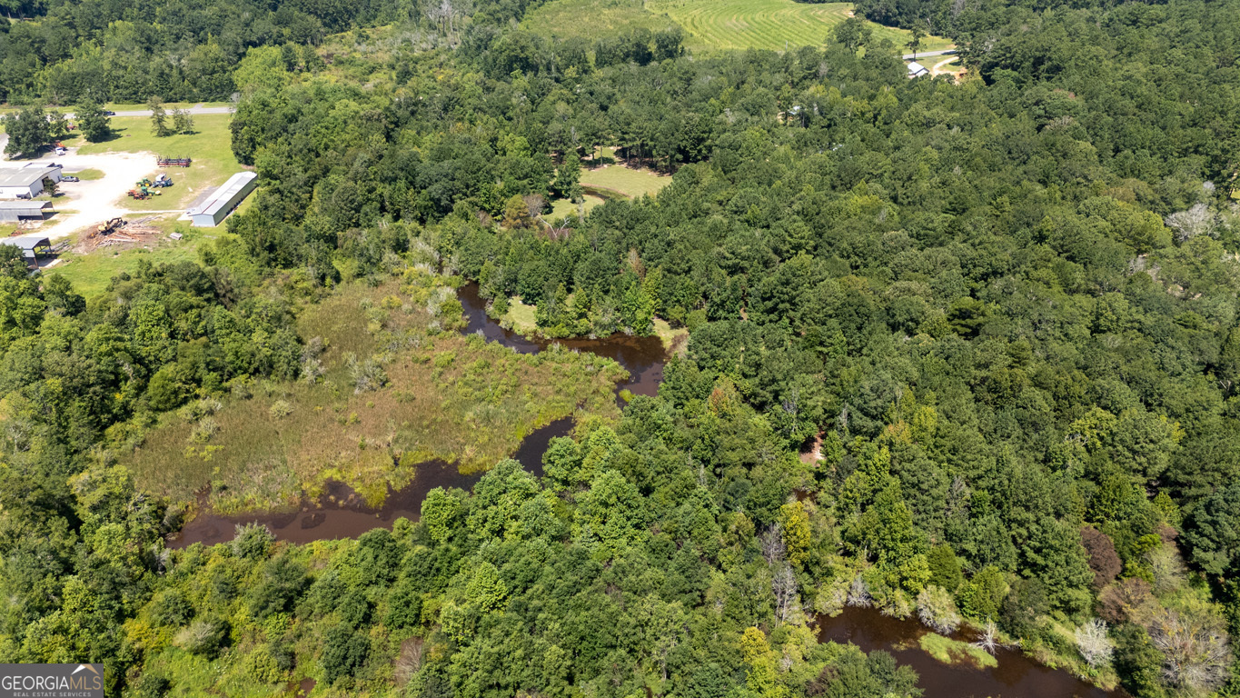 2174 Ga Highway 111 N Property Photo 36