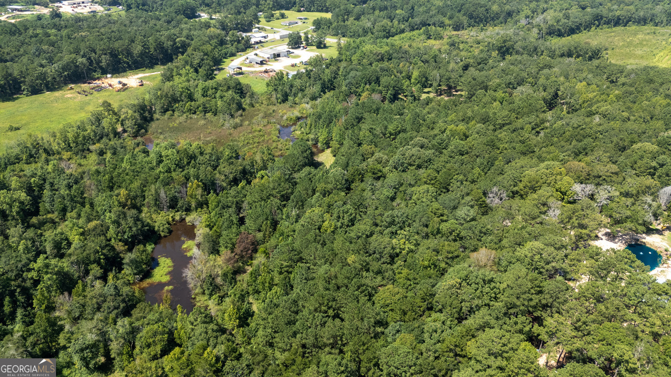 2174 Ga Highway 111 N Property Photo 37