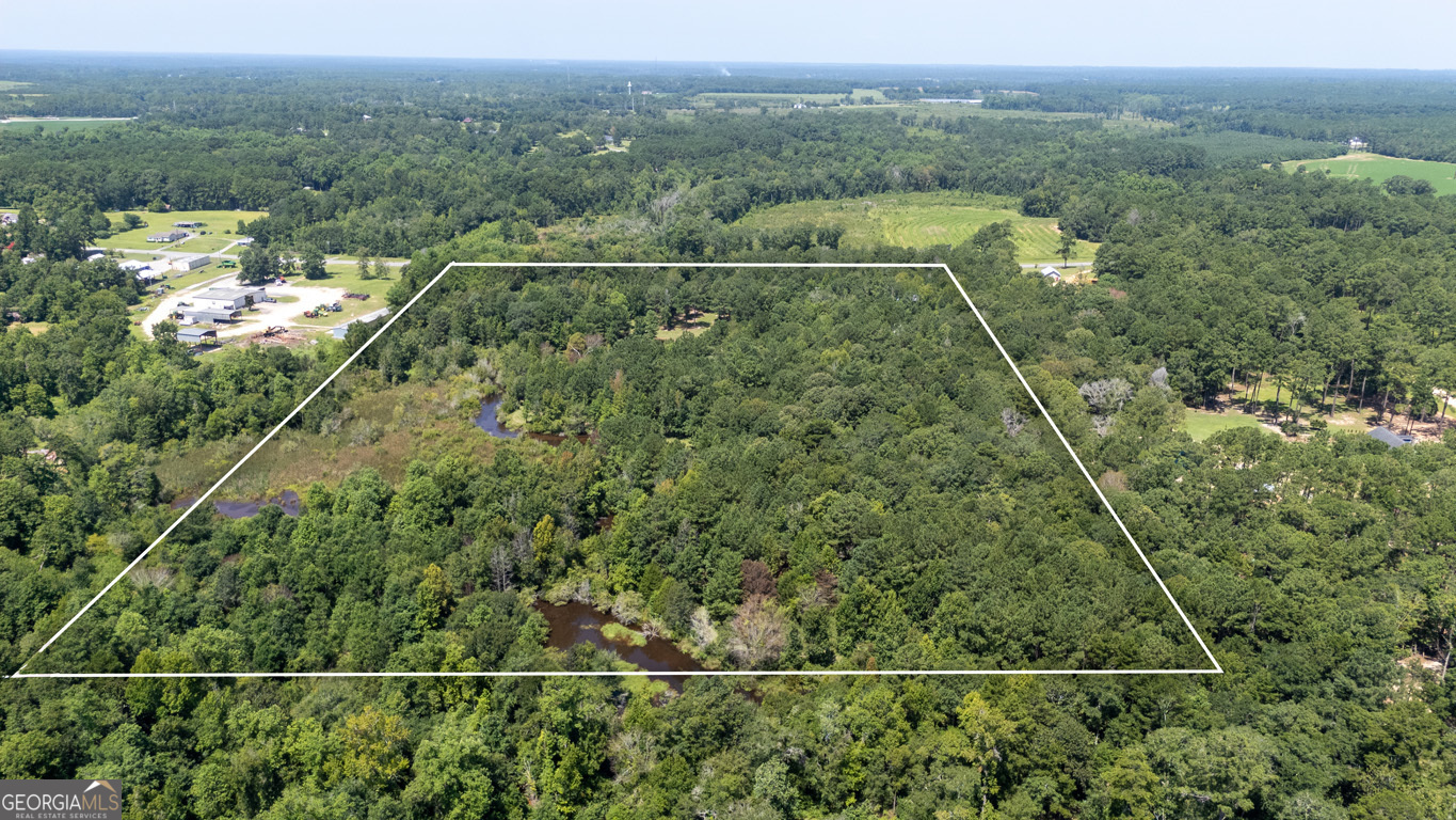 2174 Ga Highway 111 N Property Photo 39