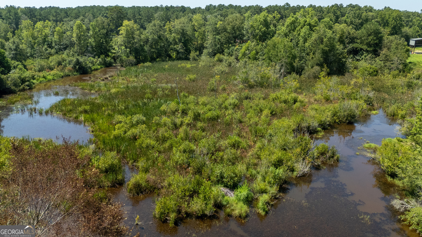 2174 Ga Highway 111 N Property Photo 41