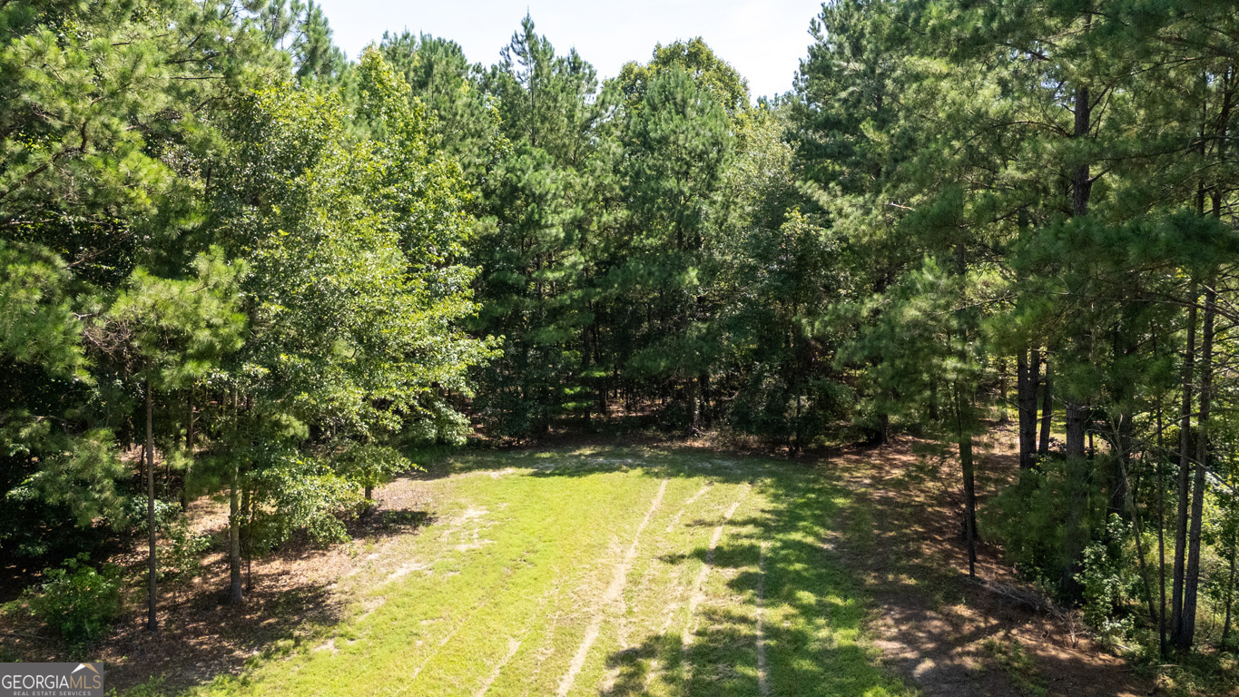 2174 Ga Highway 111 N Property Photo 42