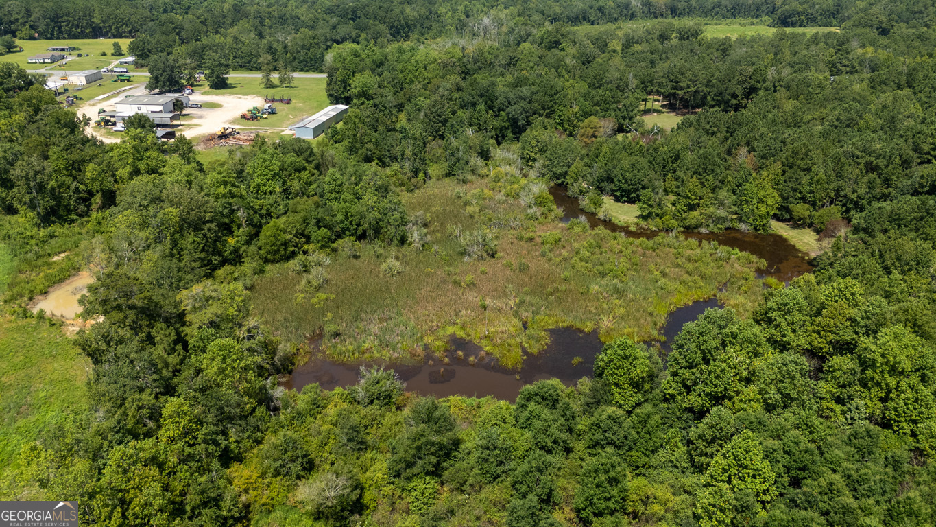 2174 Ga Highway 111 N Property Photo 43