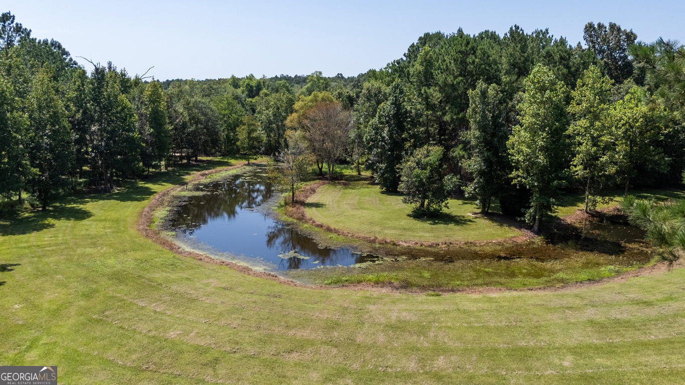 2174 Ga Highway 111 N Property Photo 44