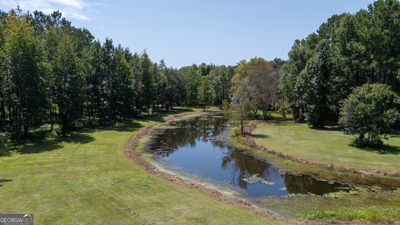 2174 Ga Highway 111 N Property Photo 45