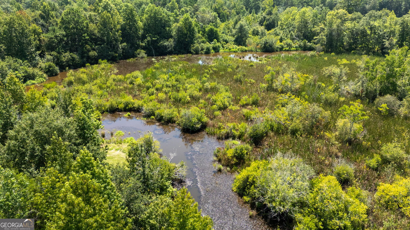 2174 Ga Highway 111 N Property Photo 46