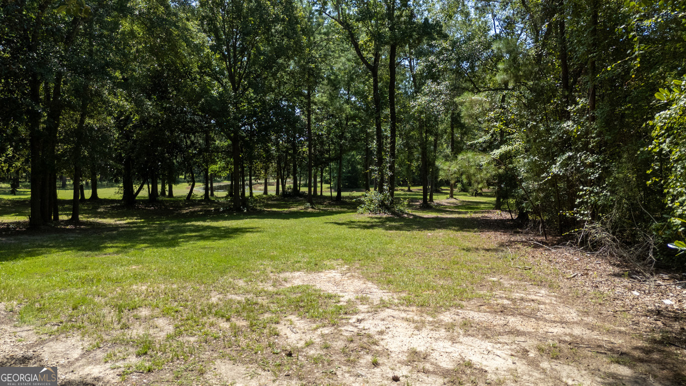 2174 Ga Highway 111 N Property Photo 50