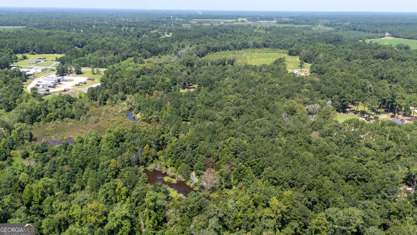 2174 Ga Highway 111 N Property Photo 53