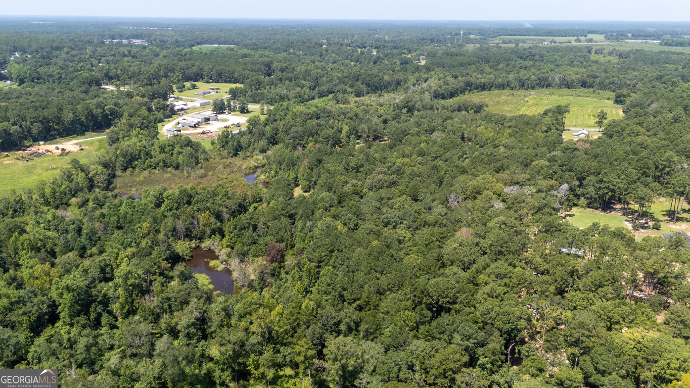 2174 Ga Highway 111 N Property Photo 54