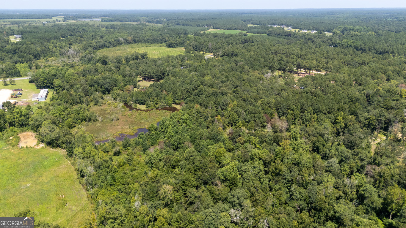 2174 Ga Highway 111 N Property Photo 55