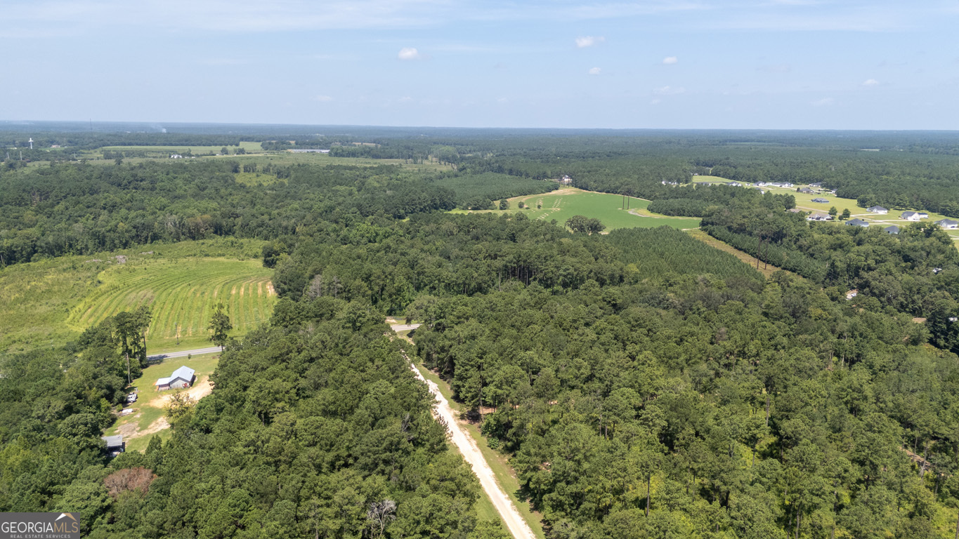 2174 Ga Highway 111 N Property Photo 56