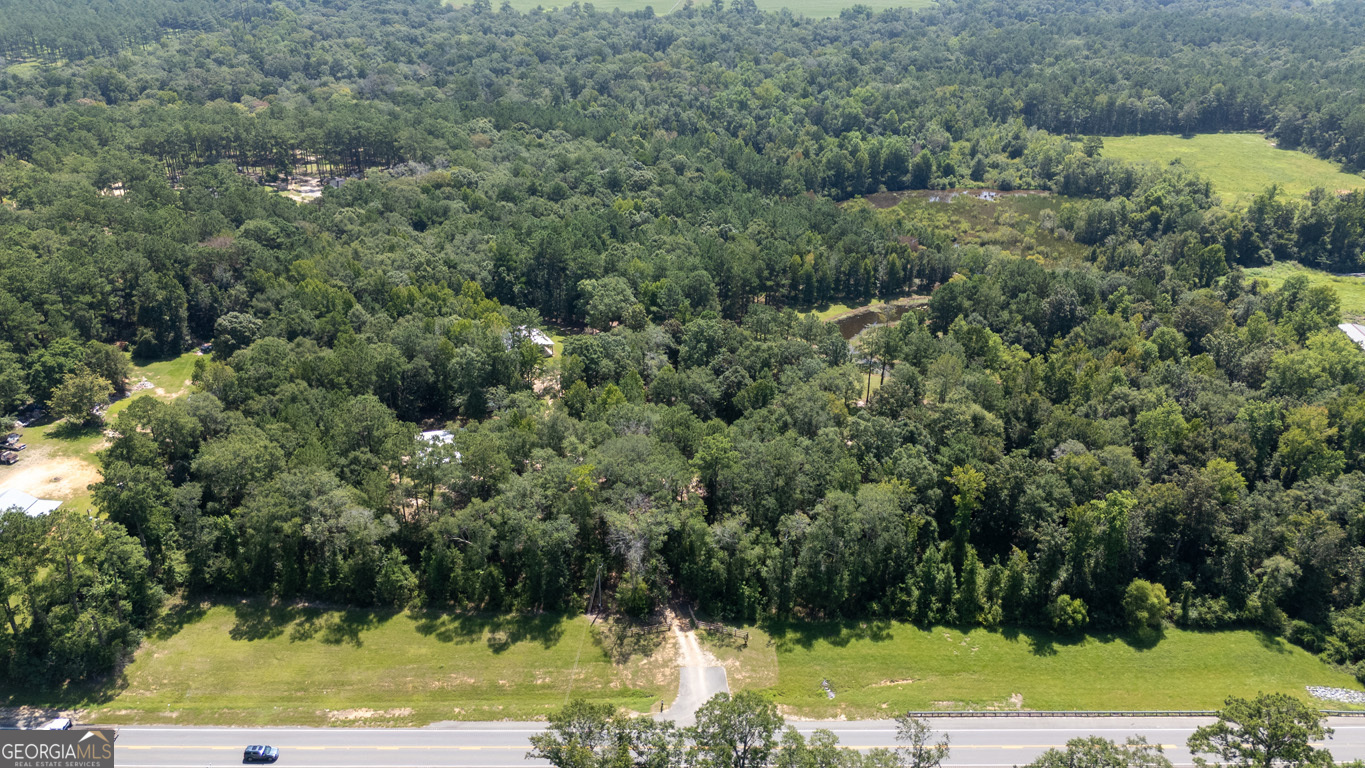 2174 Ga Highway 111 N Property Photo 79
