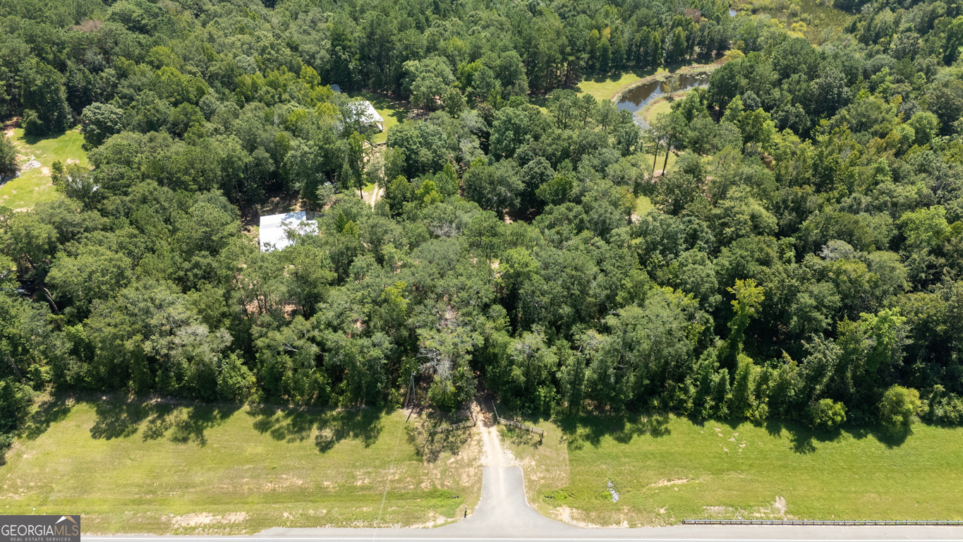2174 Ga Highway 111 N Property Photo 80