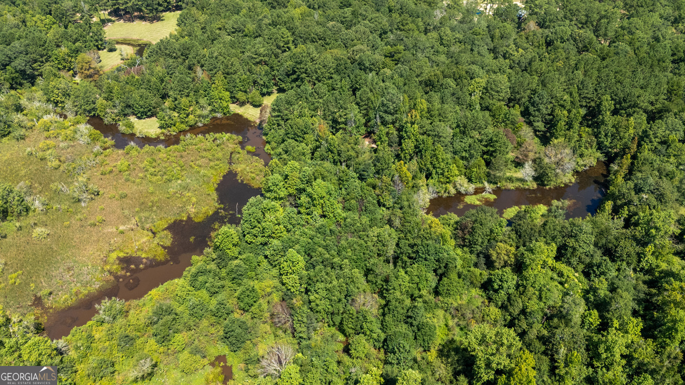 2174 Ga Highway 111 N Property Photo 81