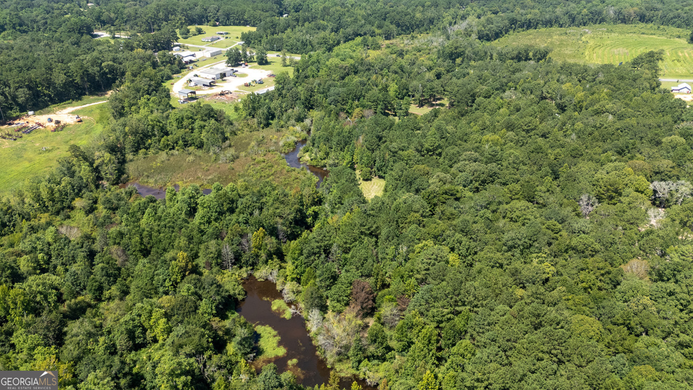 2174 Ga Highway 111 N Property Photo 82