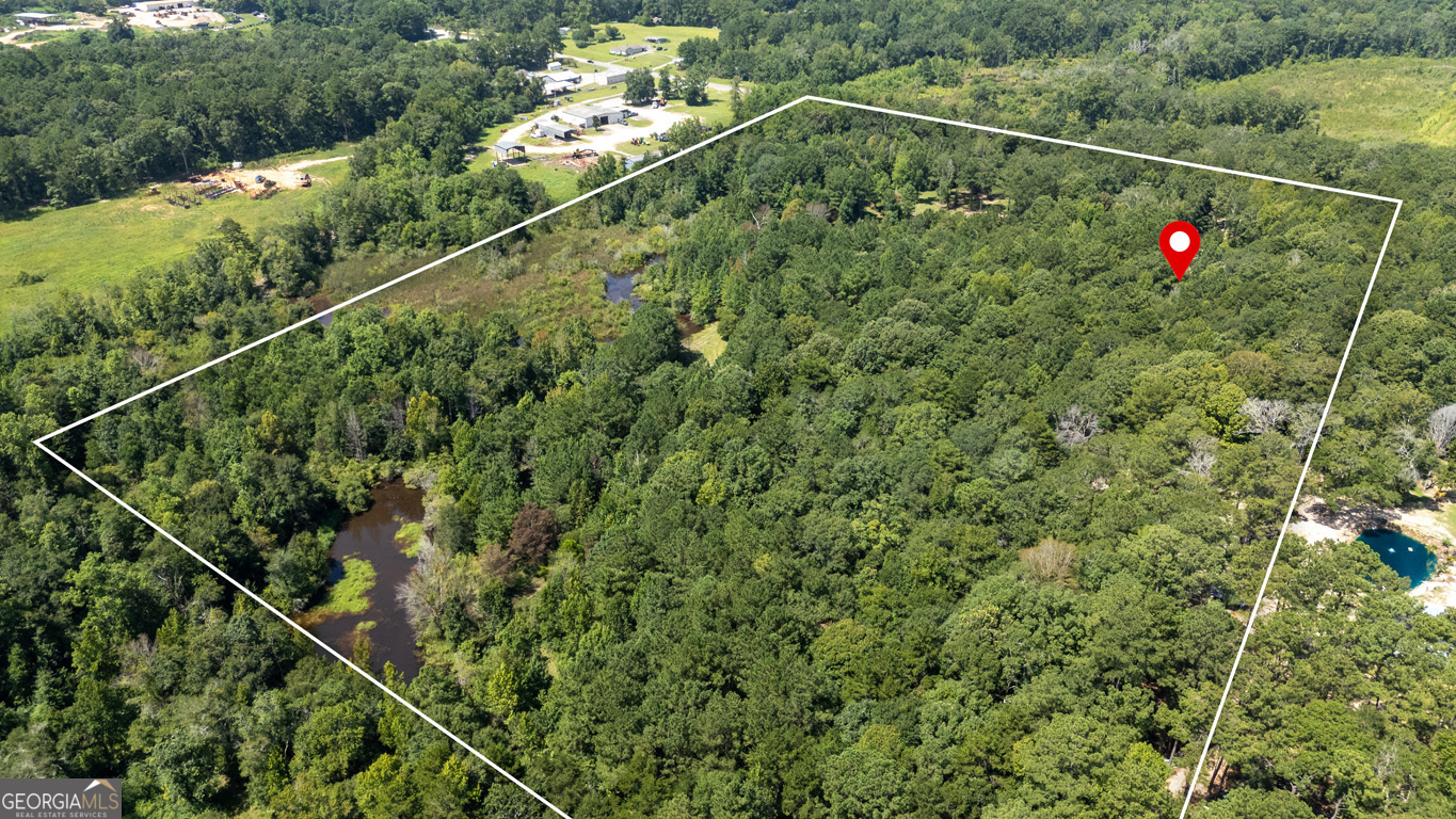 2174 Ga Highway 111 N Property Photo 83