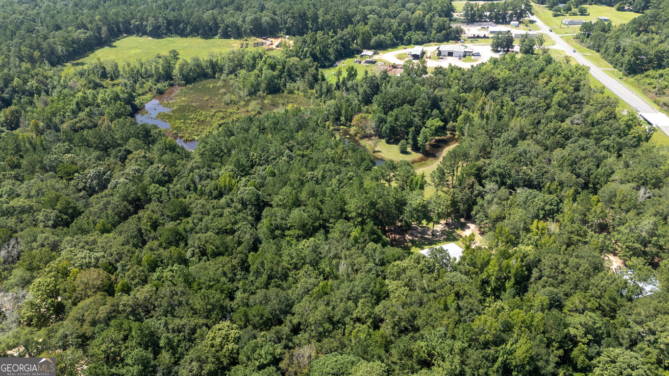2174 Ga Highway 111 N Property Photo 85