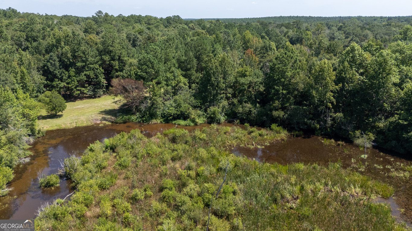 2174 Ga Highway 111 N Property Photo 86