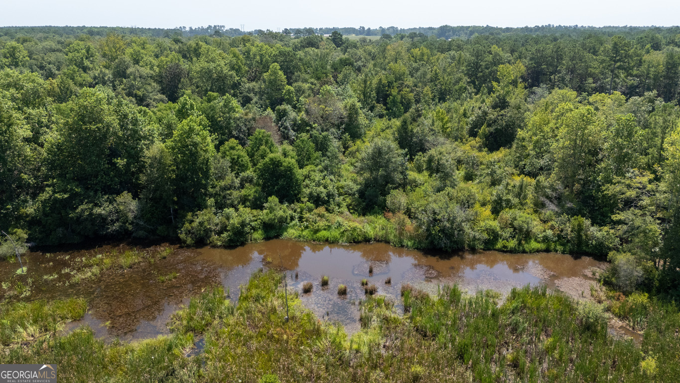 2174 Ga Highway 111 N Property Photo 87