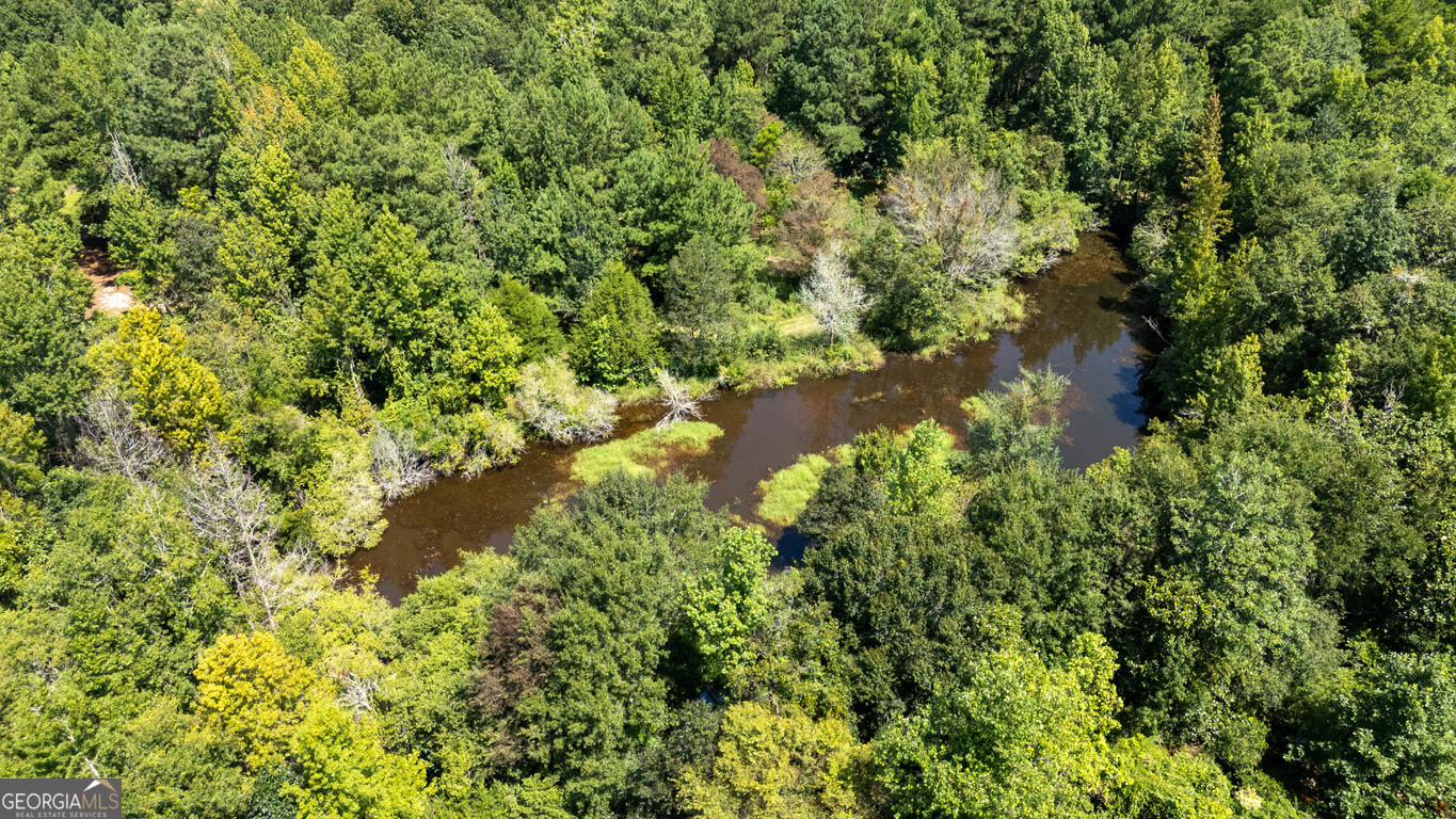 2174 Ga Highway 111 N Property Photo 88