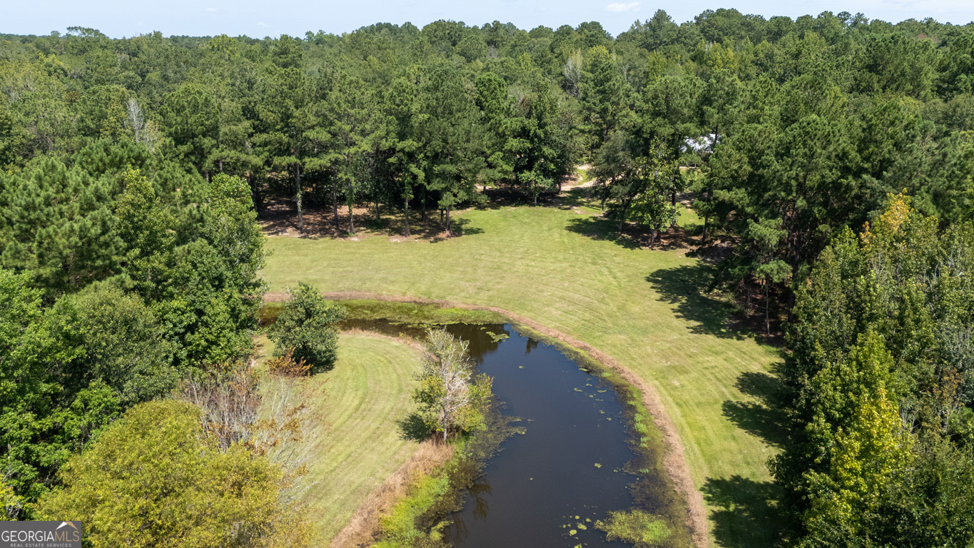 2174 Ga Highway 111 N Property Photo 89