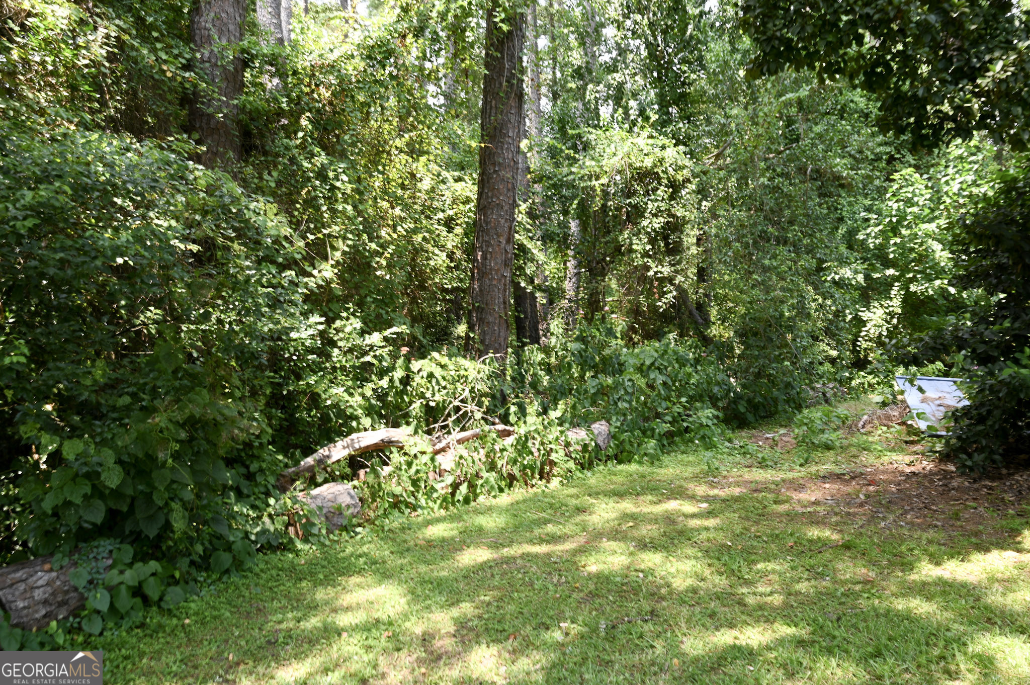 610 Poplar Street Property Photo 30