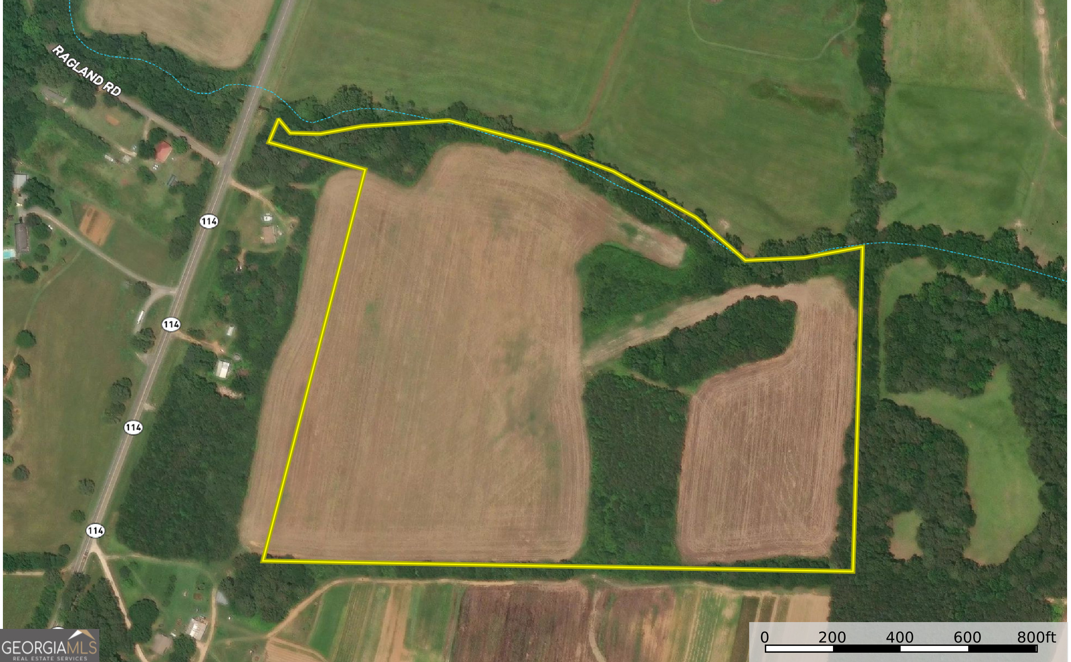 44 +/- Acres On Ga Hwy 114 Property Photo 2