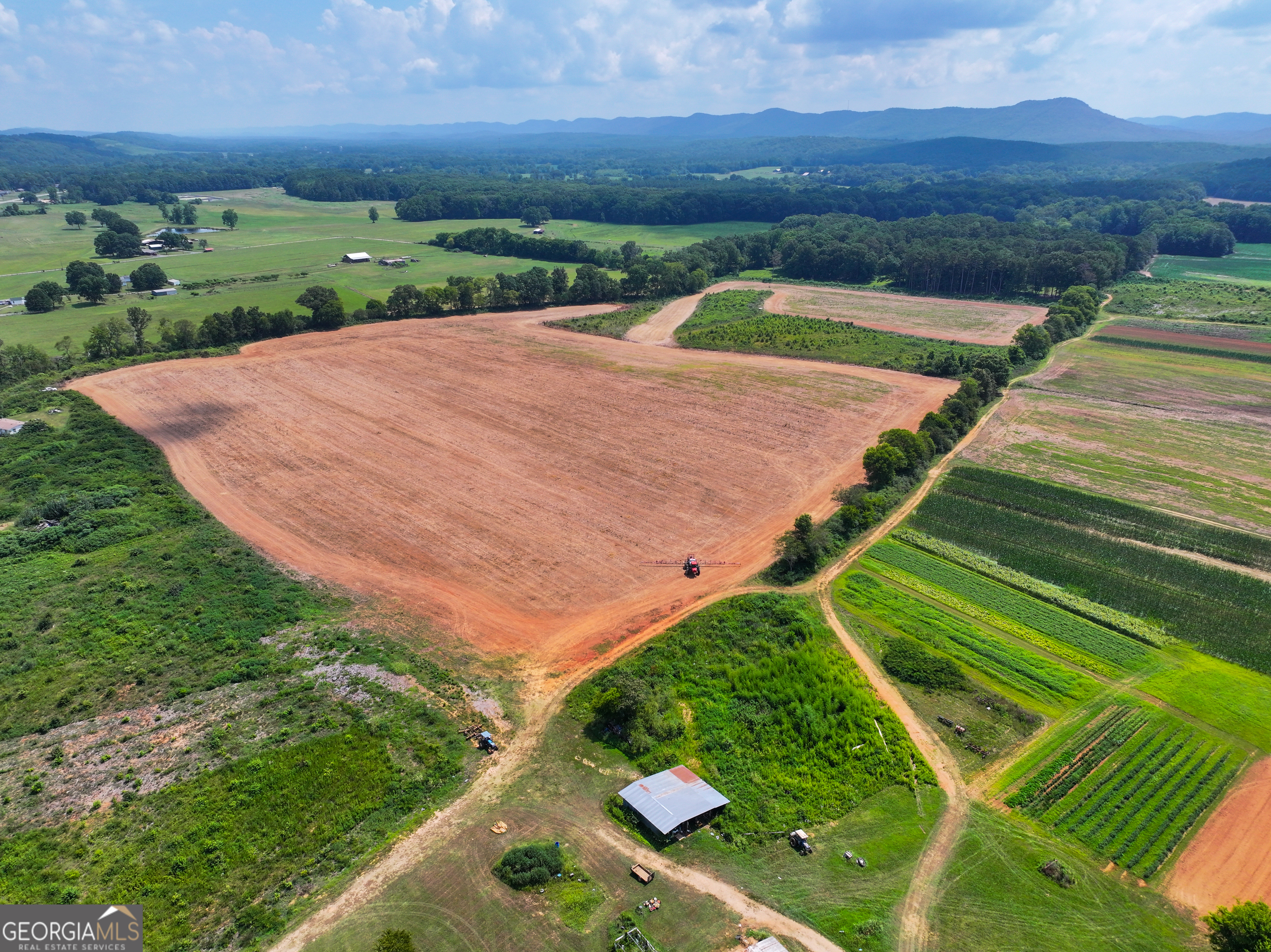 44 +/- Acres On Ga Hwy 114 Property Photo 3