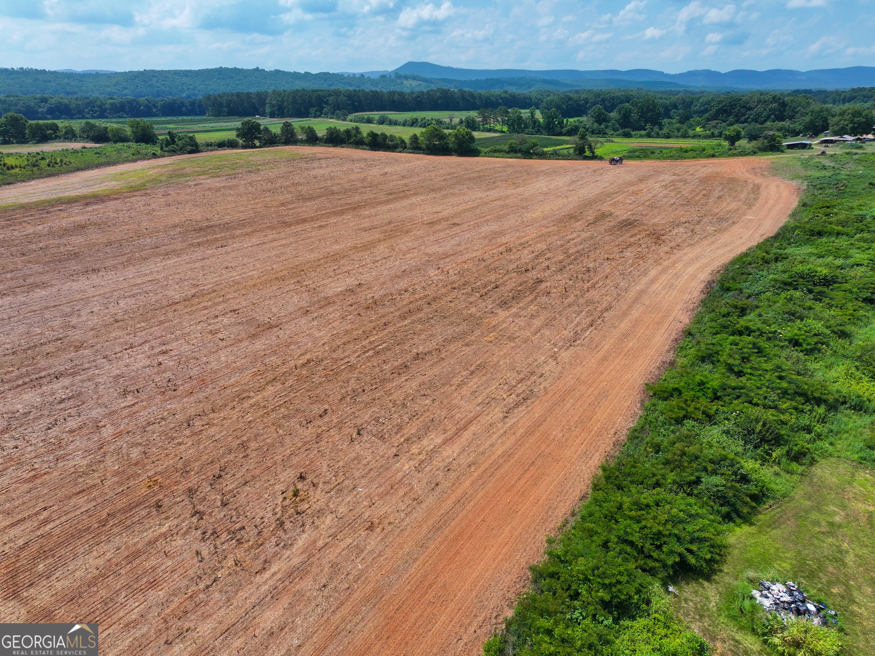 44 +/- Acres On Ga Hwy 114 Property Photo 5