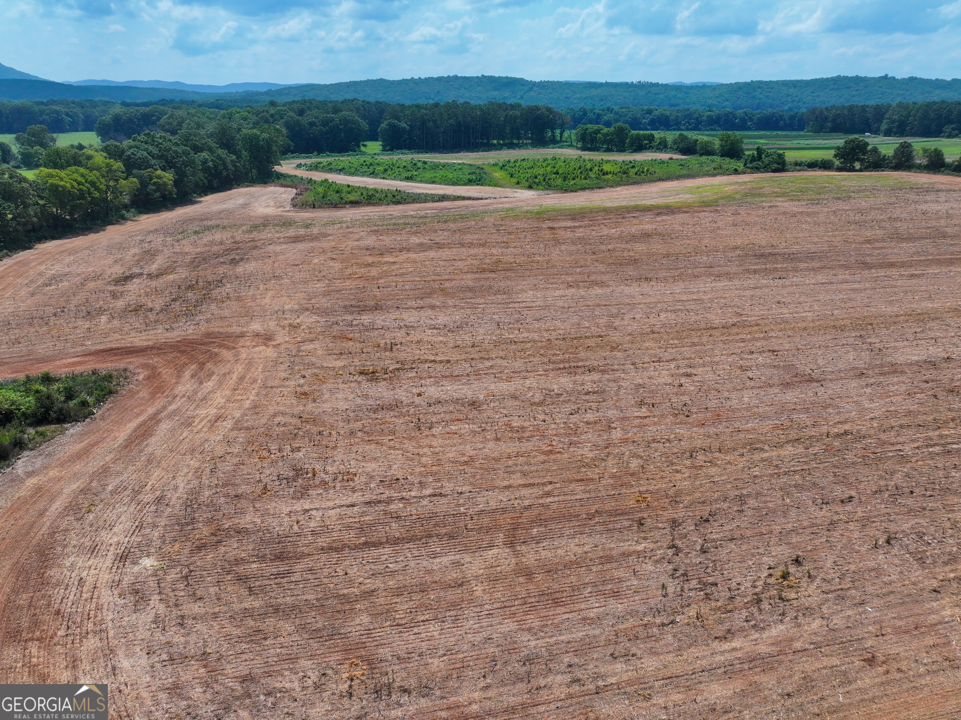 44 +/- Acres On Ga Hwy 114 Property Photo 8