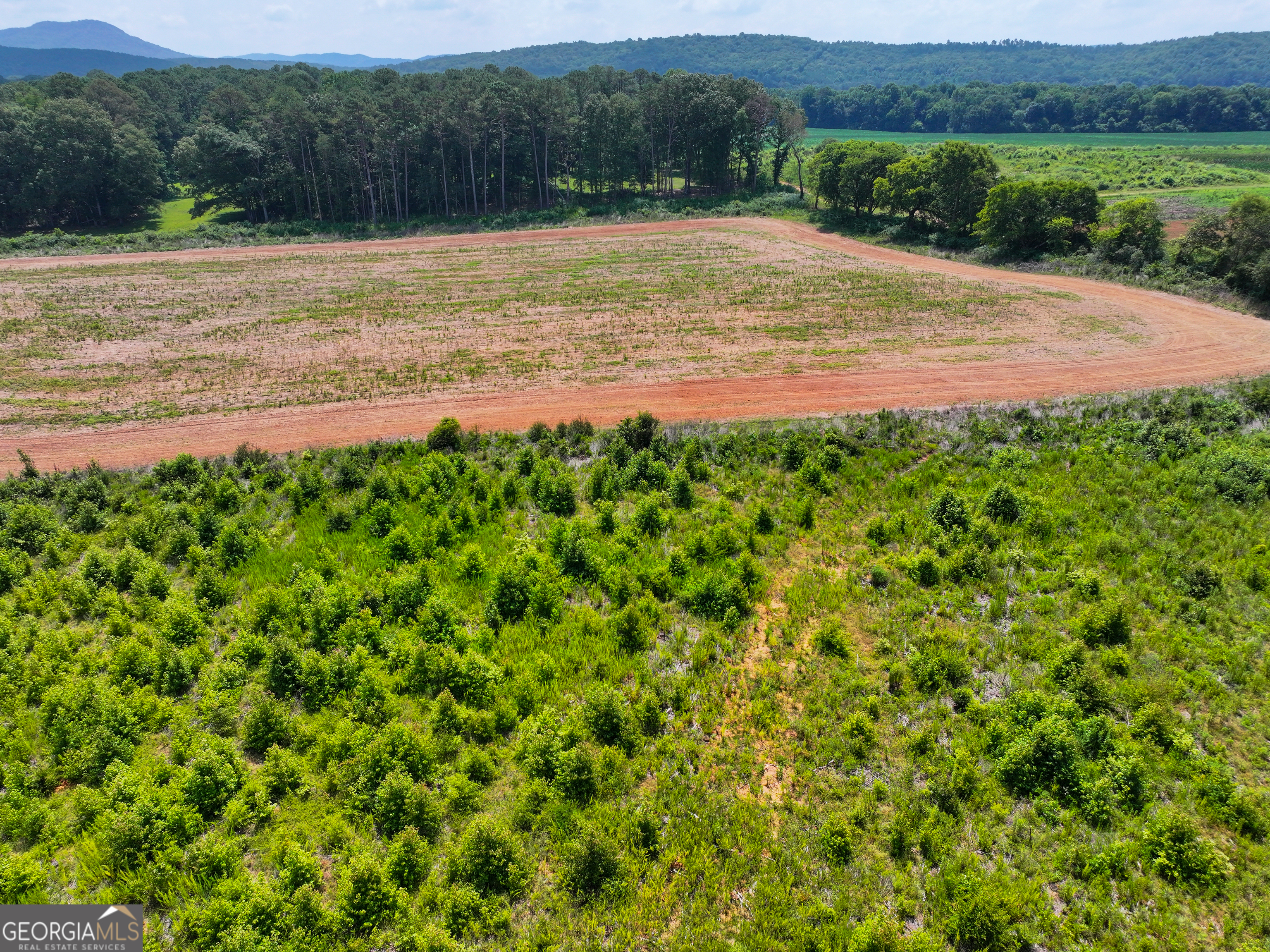 44 +/- Acres On Ga Hwy 114 Property Photo 10