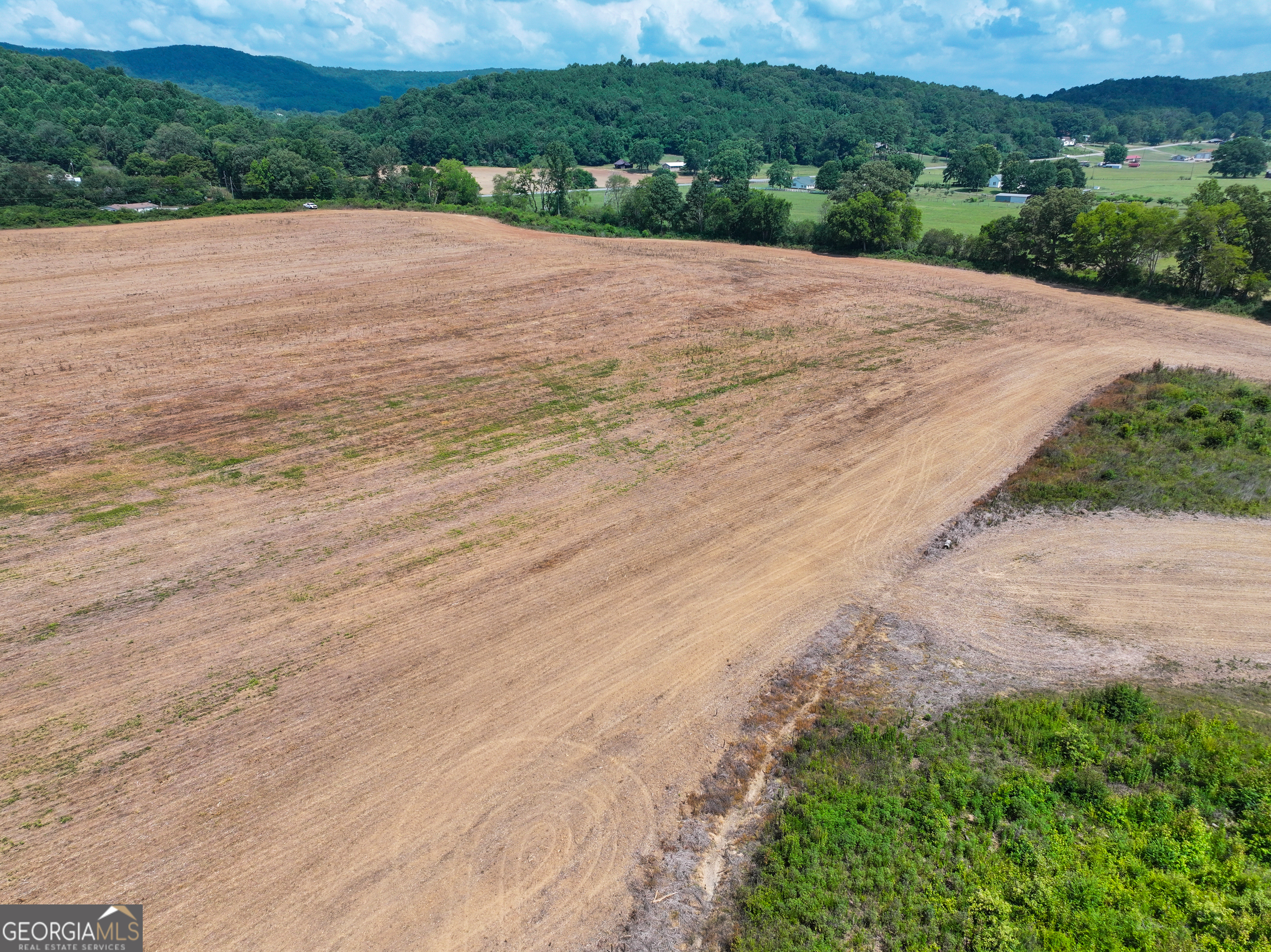 44 +/- Acres On Ga Hwy 114 Property Photo 15