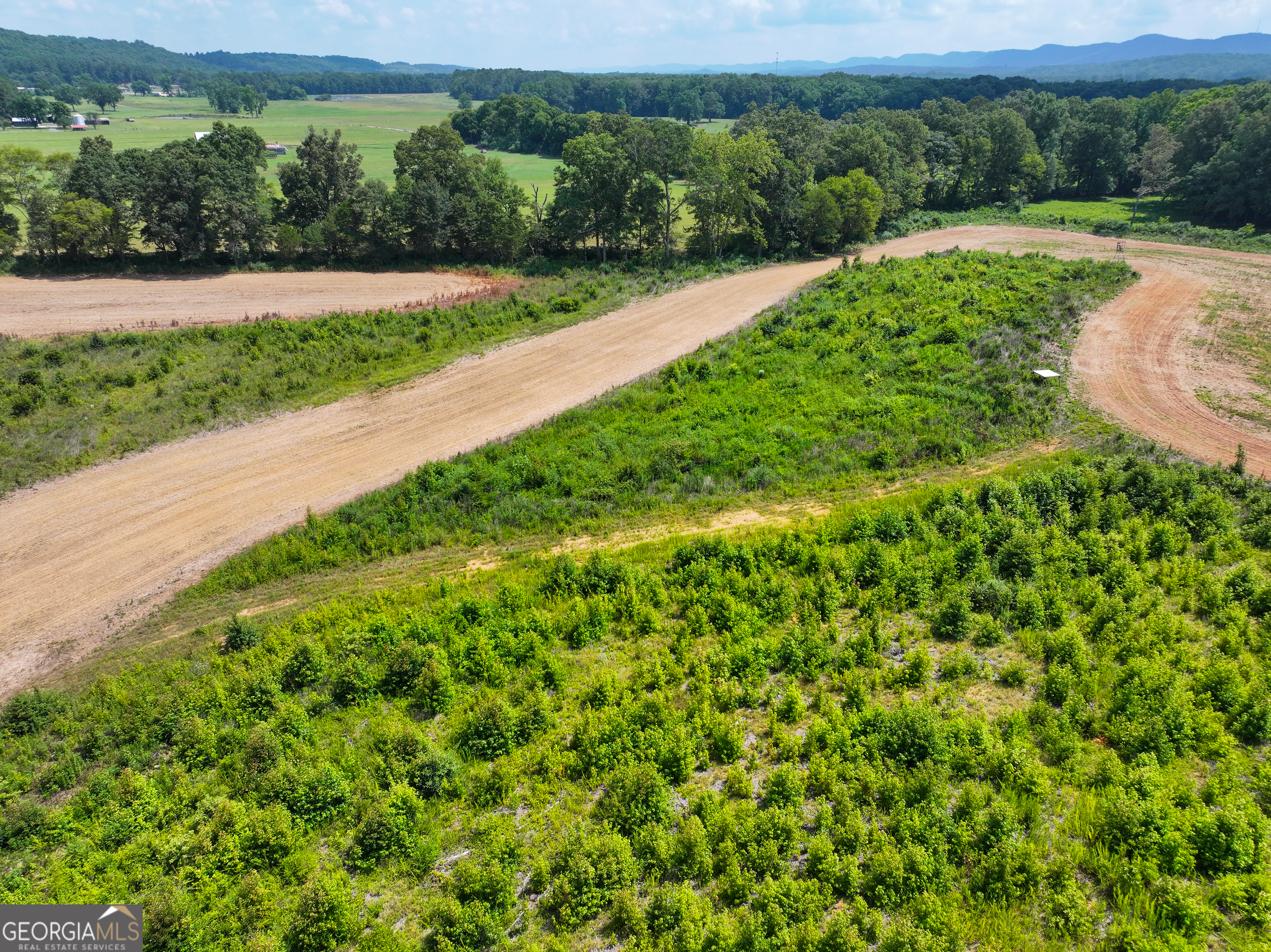 44 +/- Acres On Ga Hwy 114 Property Photo 17
