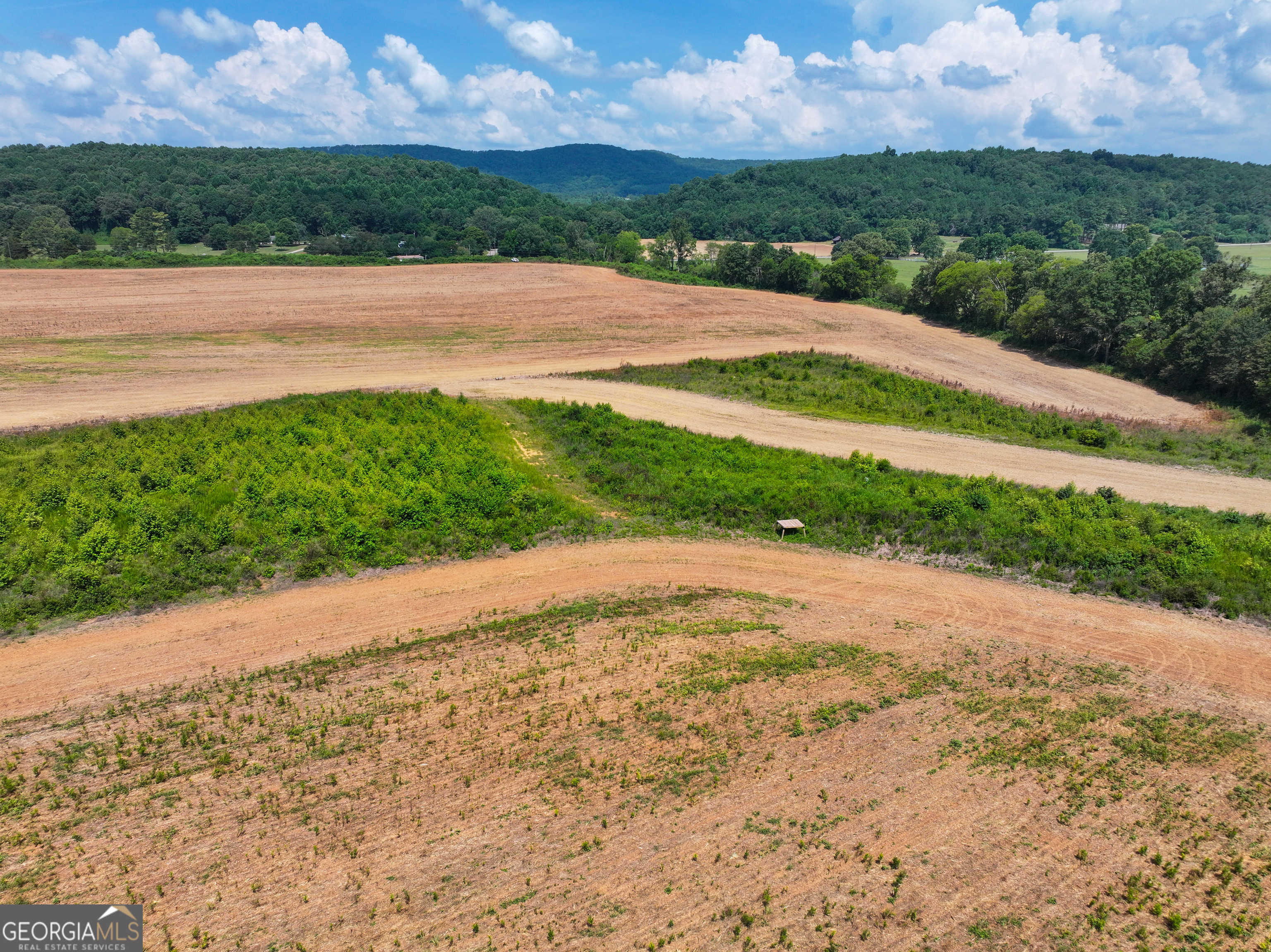 44 +/- Acres On Ga Hwy 114 Property Photo 18