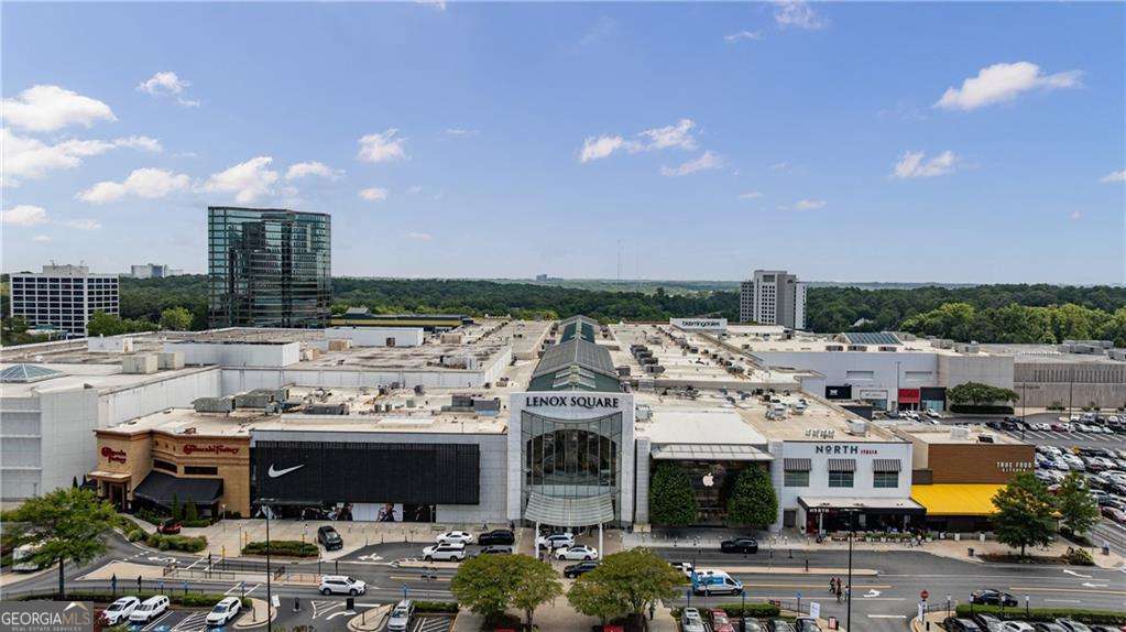 3324 Peachtree Road Ne # 1101 Property Photo 45
