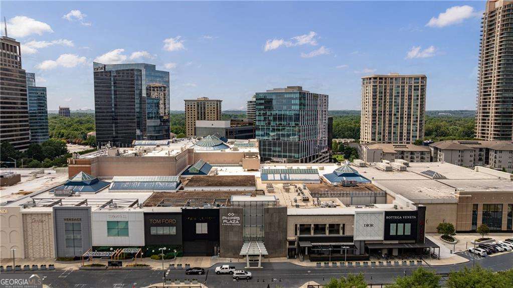 3324 Peachtree Road Ne # 1101 Property Photo 46