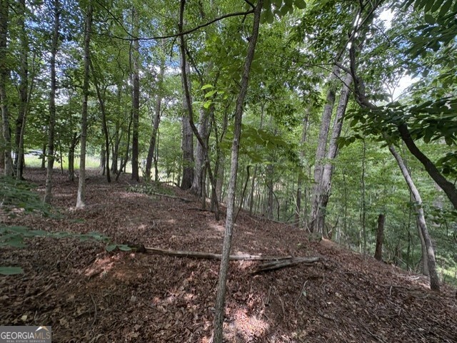 LOT 16 CALHOUN Road Property Photo 1