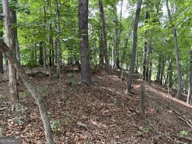 Lot 16 Calhoun Road Property Photo 3